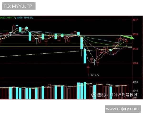 杭州乒乓球队与北京乒乓球队赛后复盘分析比赛节奏与战术对决