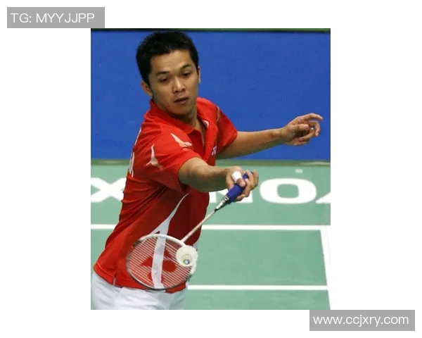 深度对话杨娜羽毛球人生的奋斗与荣耀之路